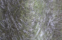 Clifton Junction fibreglass roof work